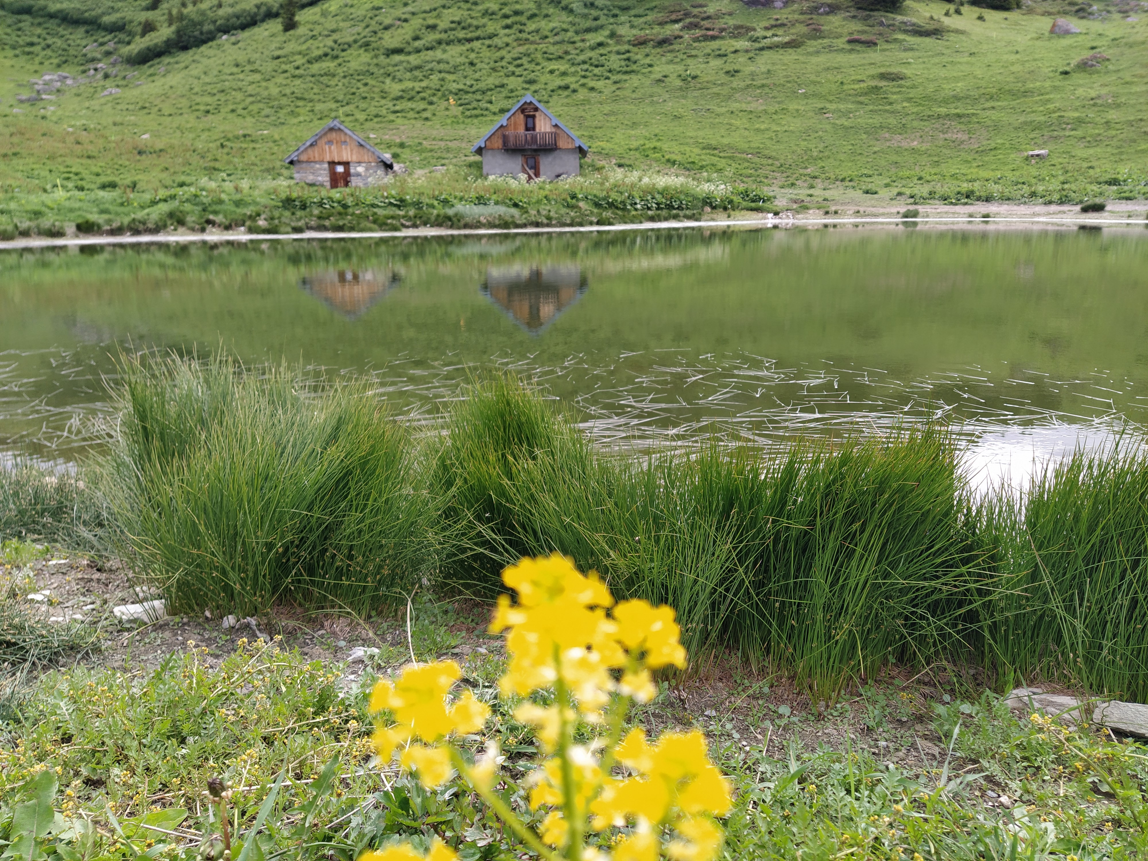 ponserand